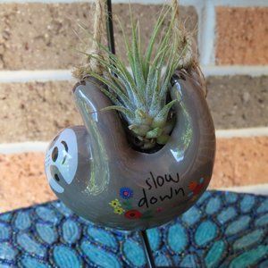 Desktop air plant - Slow Down Sloth